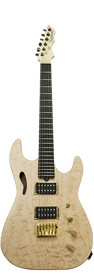 Pandora Versa custom guitar