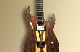 Pandora electric guitar, front